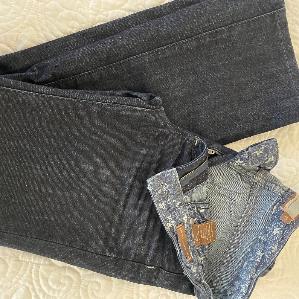 Paige Benedict Canyon Size 27